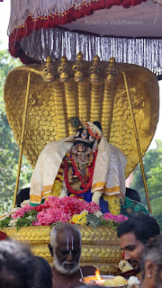 Sri Parthasarathy Perumal, Kutti Kannan ,Purappadu, Sesha Vahanam,Kalinga Narthanam,Sri Krishna Jayanthi ,2022