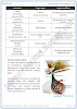 coordination-and-control-short-and-detailed-answer-questions-biology-10th