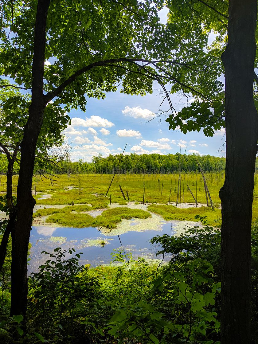 Ice Age Trail Wood Lake Segment