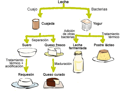 Resultado de imagen para LA LECHE Y SUS DERIVADOS