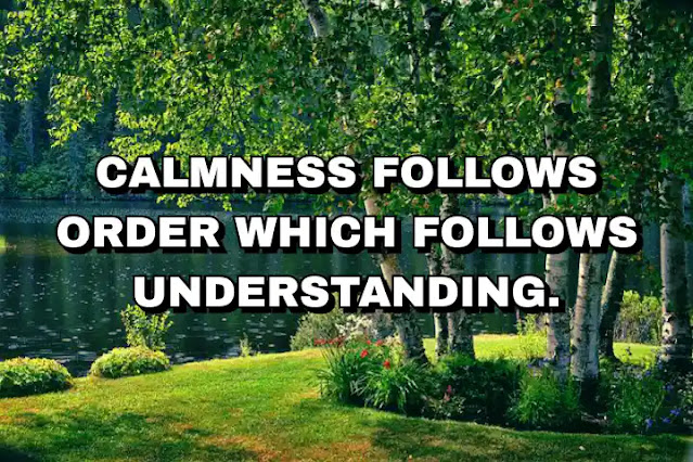 Calmness follows order which follows understanding. Maxime Lagacé