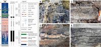 http://sciencythoughts.blogspot.co.uk/2015/06/microbial-sediments-from-early-to.html