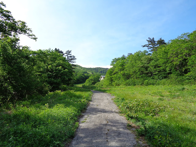 大山国際スキー場に登ります