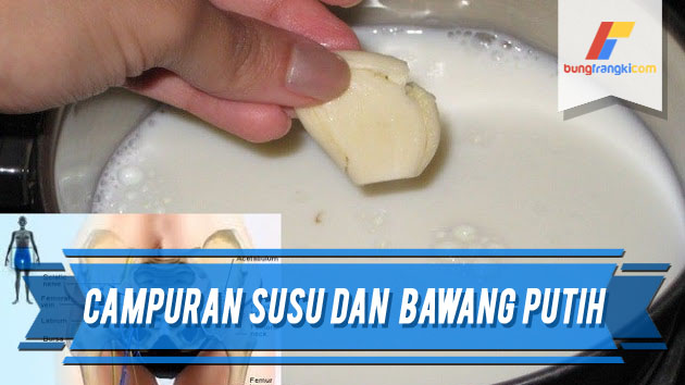 Manfaat Campuran Susu dan Bawang Putih Untuk Kesehatan