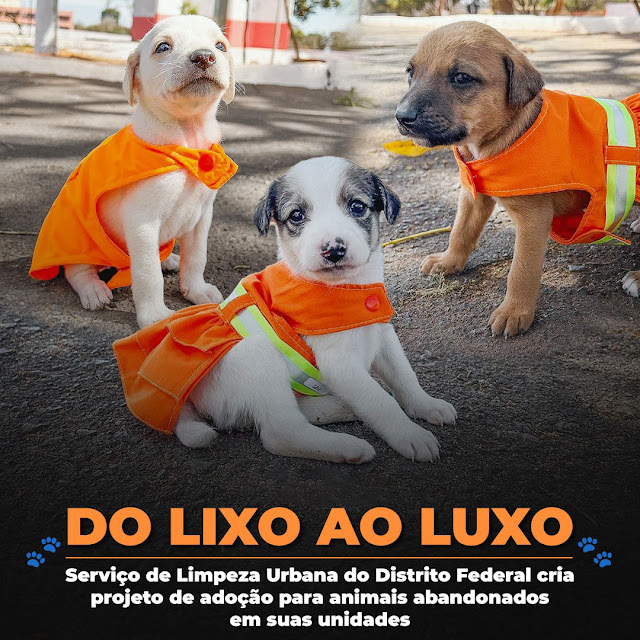 A iniciativa é do Serviço de Limpeza Urbana do Distrito Federal (SLU), que está preocupado com o número de animais deixados em suas unidades.