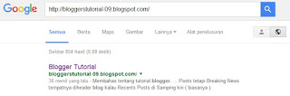 Cara Submit URL blog di Google Submit URL