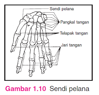 Sendi pelana