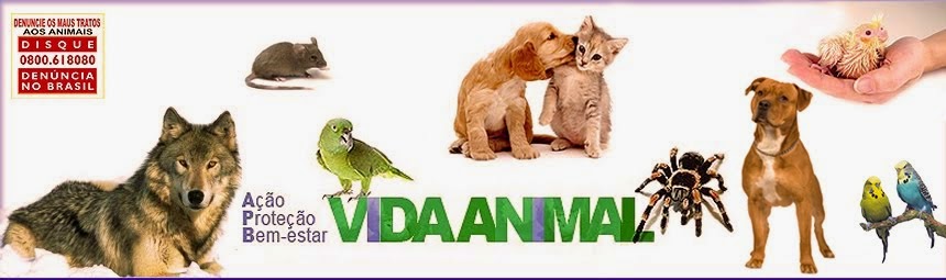 VIDA ANIMAL