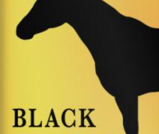 Black Beauty novel Free pdf ebook
