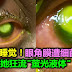 戴隐形眼镜睡觉！眼角膜遭细菌吞噬！她狂流"萤光液体"。Contact lens