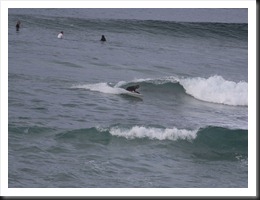 waka16