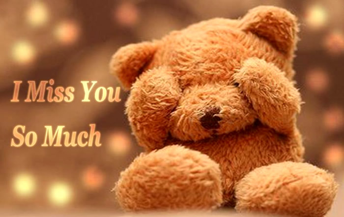 I miss you brown teddy bear wallpaper