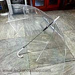 transparent umbrella