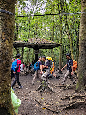 Pendakian Gunung Gede Pangrango