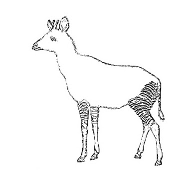Coloring Pages Zoo Deer