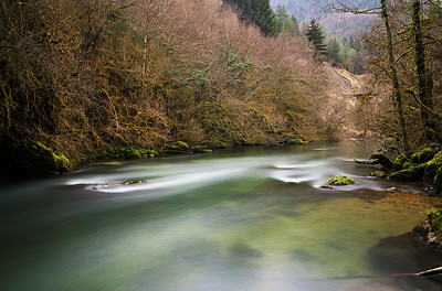 Long exposure photo of Albarine river running through the trees