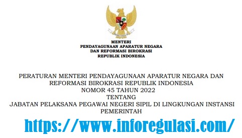 Permenpan RB Nomor 45 Tahun 2022 Tentang Jabatan Pelaksana PNS