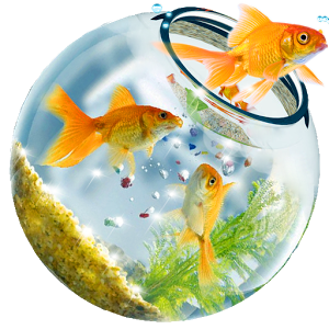 fish tank wallpaper hd for desktop full screen