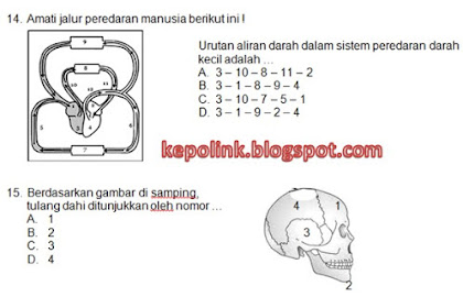 Simulasi/ Try Out 3 Paket IPA Kelas 6 USBN SD/ MI Tahun 2018 Sesuai Irisan K-13 dan KTSP