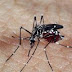 75 municípios do Paraná apresentam alerta para dengue