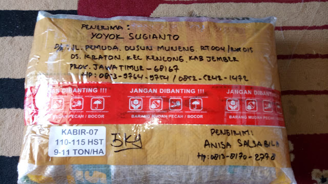 Testimoni Pengiriman Benih Padi Kabir 07 - 115 HSS @5kg ke Jember