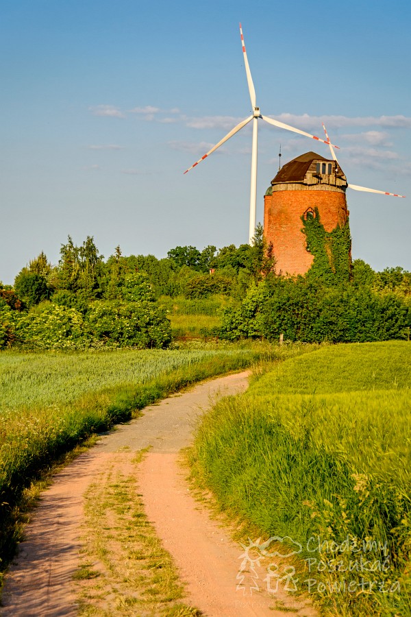 Gmina Gniew. Kociewie. Wiatrak holenderski. Województwo pomorskie. Polska jest piękna