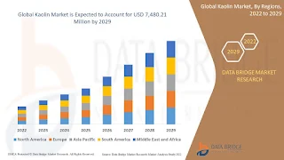 Global Kaolin Market