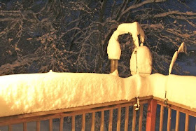 Snow covered deck railing and bird feeders early April 17