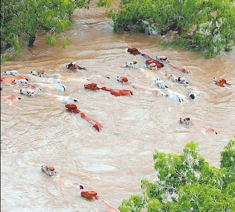 Right now you can throw your support behind the Queensland Floods by