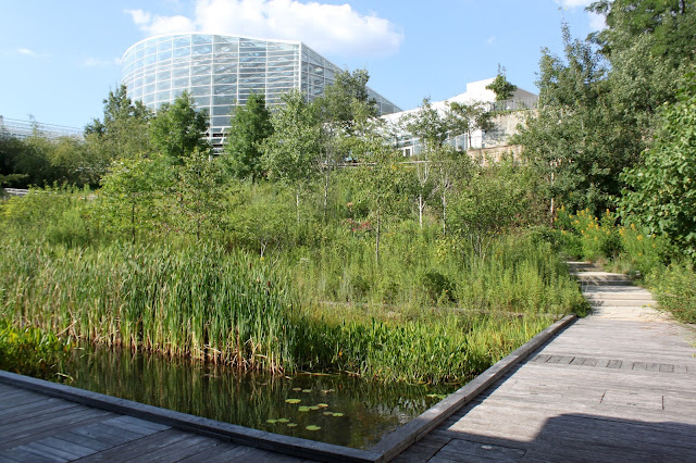 Phipps Conservatory Pond