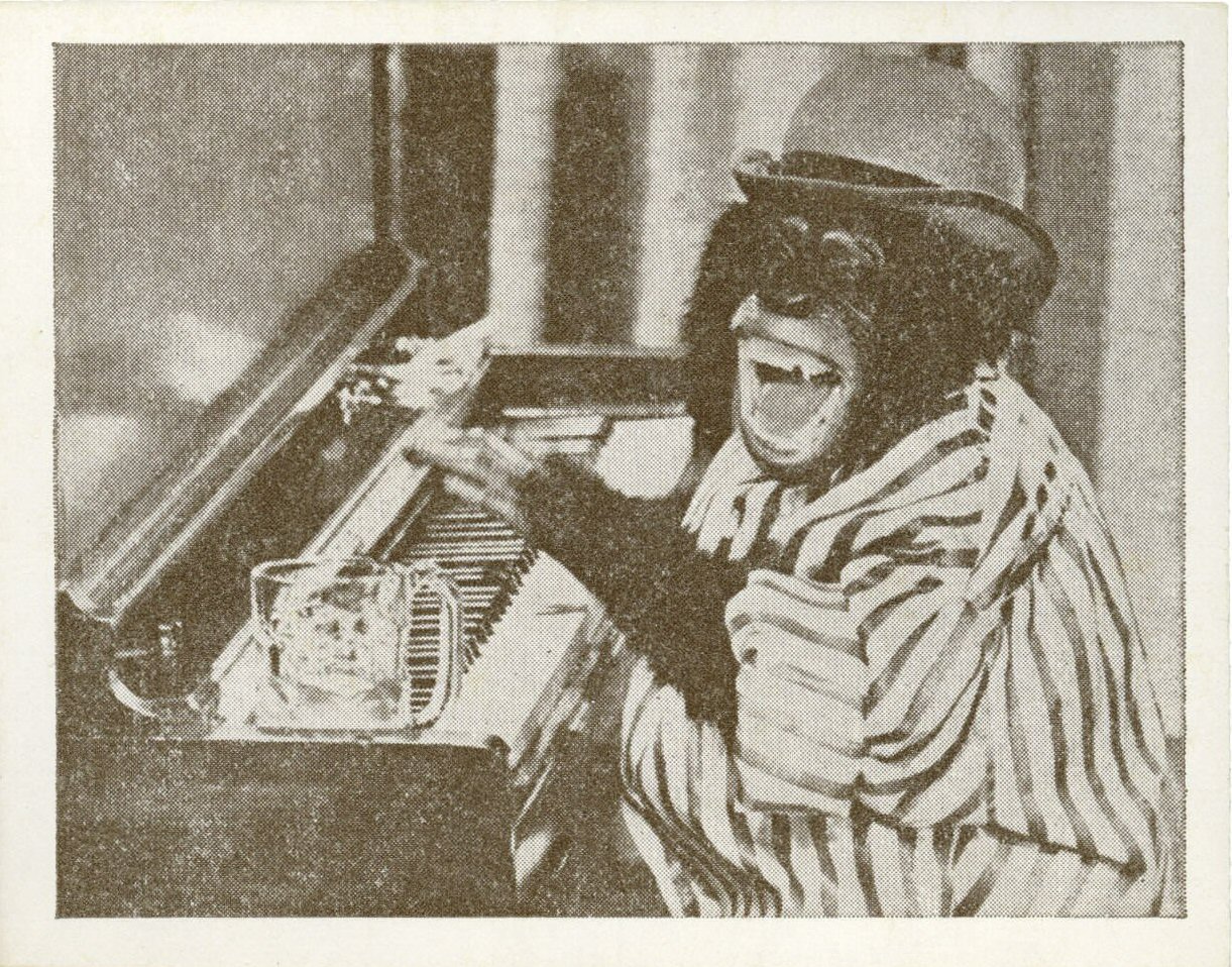 Monkey Musician