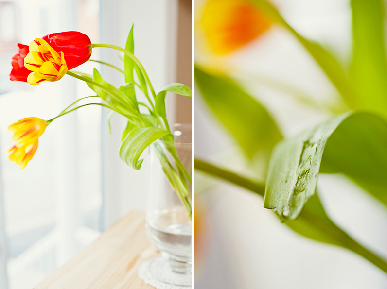 Tulipes and evidence