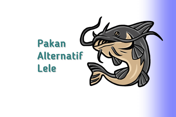 pakan alternatif lele