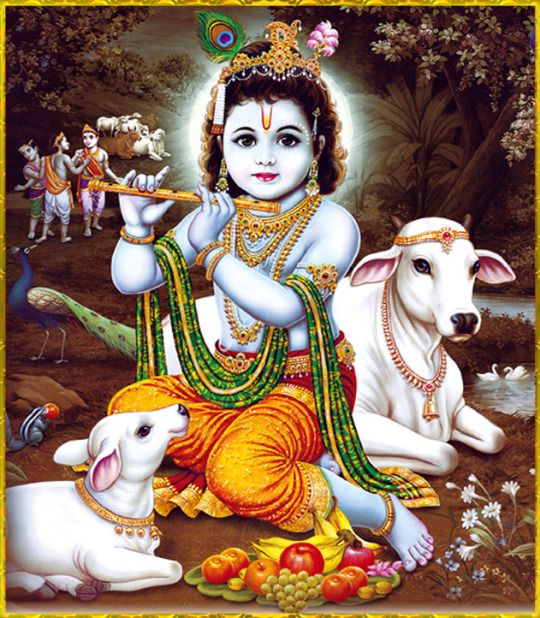 Cute Lord Krishna Wallpaper with Cow