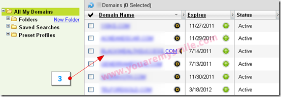 godaddy-blogger-custom-domain3
