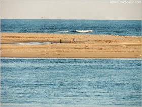 Playas de Massachusetts: Chatham Lighthouse Beach