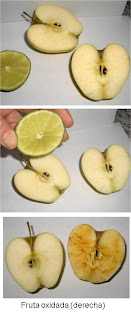 Oxidación de una Manzana