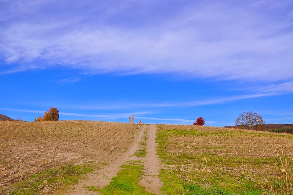 sharp cheddar farm-9759