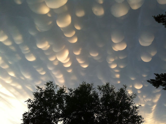 Normal cloud bottoms are flat. This is because moist warm air that rises and cools will condense into water droplets at a specific temperature, which usually corresponds to a very specific height. As water droplets grow, an opaque cloud forms. Under some conditions, however, cloud pockets can develop that contain large droplets of water or ice that fall into clear air as they evaporate. Such pockets may occur in turbulent air near a thunderstorm. Resulting mammatus clouds can appear especially dramatic if sunlit from the side. These mammatus clouds were photographed over Regina, Saskatchewan, Canada in 2011.  Image Credit: Craig Lindsay Explanation from: http://apod.nasa.gov/apod/ap121023.html