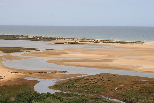 Parc Naturel Ria Formosa