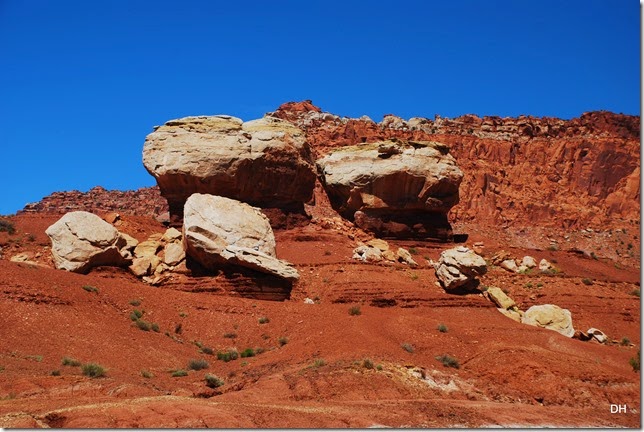 05-26-14 A West Side of Capital Reef NP (109)