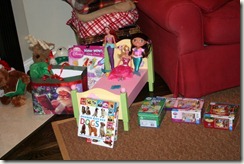 2010-12-25 (3)