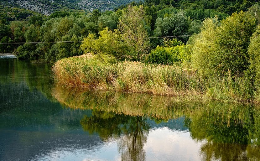 Αντικατοπριτρισμοί της φύσης στα νερά του Νέστου