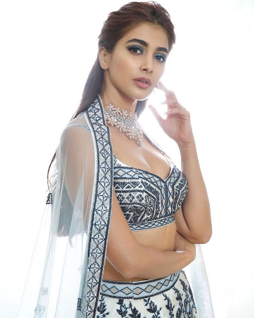 Actress Pooja hegde hot images