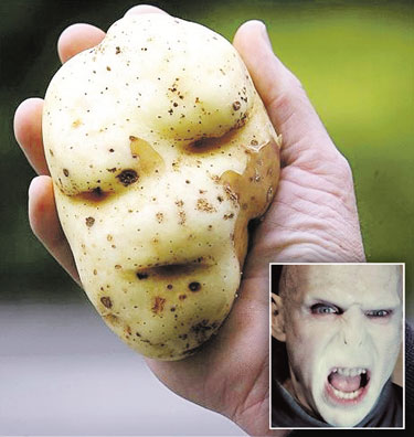 Ubi kentang berbentuk seperti wajah  Lord Voldemort Watak 
