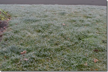 fog (2)