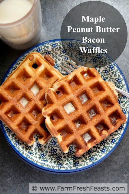 A hearty whole grain waffle flavored with maple syrup and peanut butter. These also have a bonus crunch from crumbled bits of crisply cooked bacon baked right into the waffle.