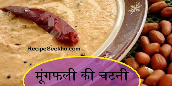 मूंगफली की चटनी बनाने की विधि – Peanut Chutney Recipe In Hindi