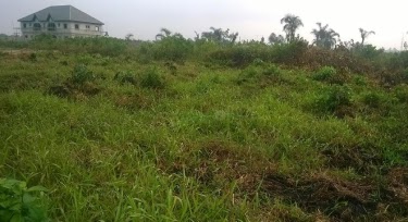 Where Is The Cheapest Place To Buy Land In Nigeria In 2024?