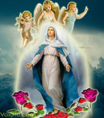12 Fakta Tentang Doa Rosario Dan 15 Janji Bunda Maria 